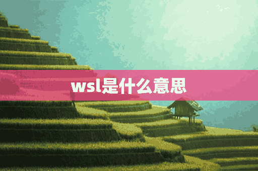 wsl是什么意思(wsl是什么意思啊)